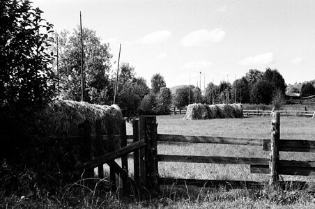 Perm Krai, 2020, Canon Serenar 50mm f1.8, Kodak 5222